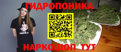 шишки Краснознаменск