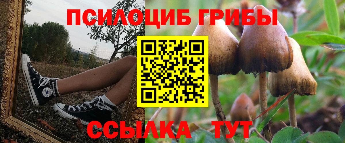 Псилоцибиновые грибы GOLDEN TEACHER Донецк