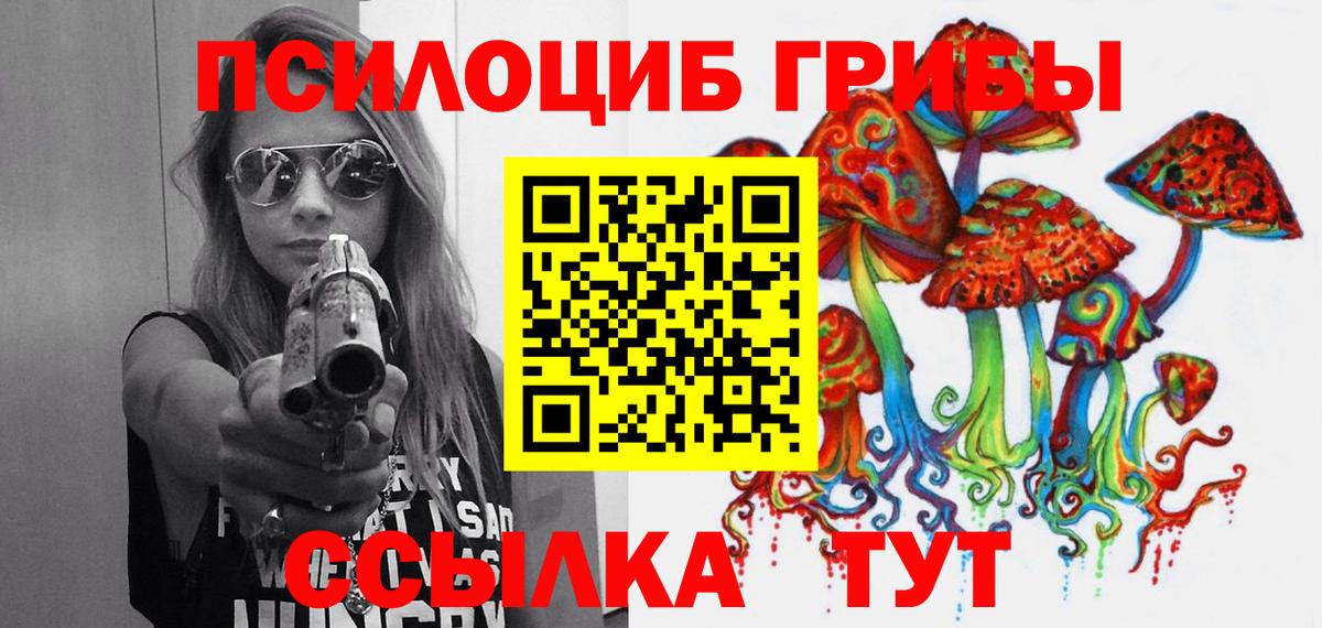 Псилоцибиновые грибы MAGIC MUSHROOMS  Псилоцибиновые грибы прущие грибы  Вход с VPN  Донецк 